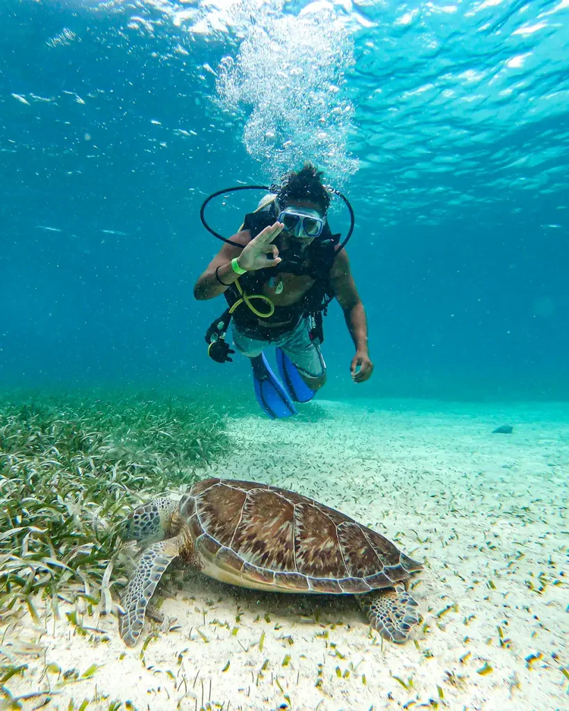 darah travel tours snorkeling