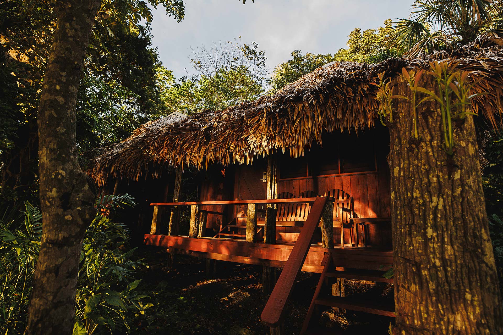 darah transfer mark crayden photos belize accomodations3