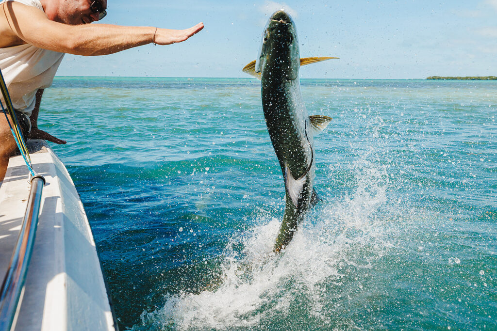 Image from belize-transfers.com