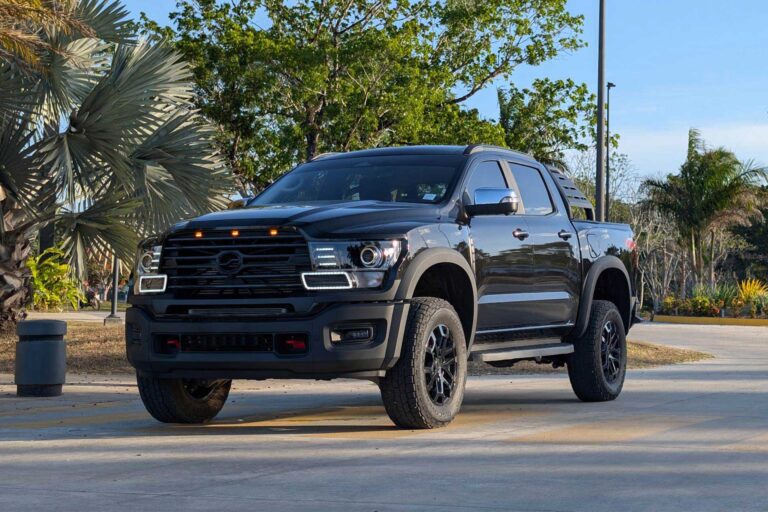 darah transfer and tours transport black lion 2